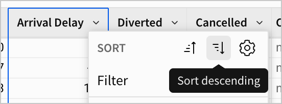 The sort descending option selected from the column menu.
